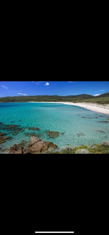 Ajaccio Magnifique T2 37M2 Centre Ville Vue Mer Au Bord De La Plage Neuf 4 Couchages Balcon Parking Prive Ferme Clim Wifi Dış mekan fotoğraf